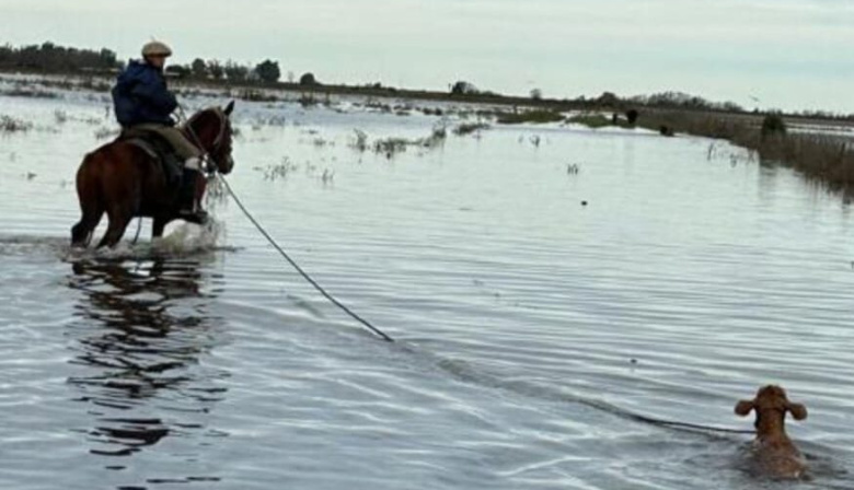 Reclamo urgente por la paralización del tramo crítico del Salado entre Ernestina y la RN205