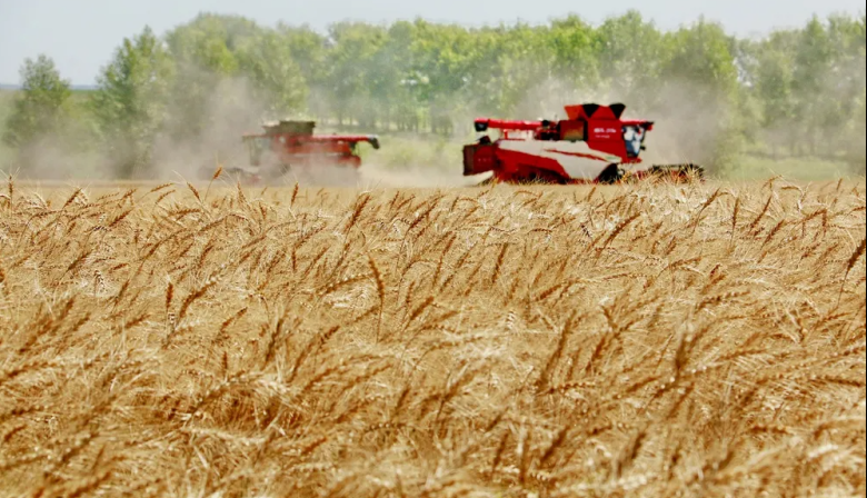 La Provincia relanza un programa clave para medir y valorizar la calidad del trigo bonaerense