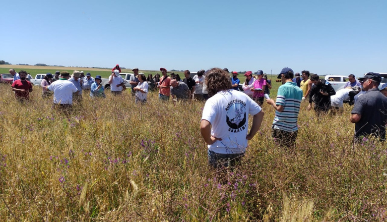Guaminí será reconocida como “Faro de la Agroecología” por sus 5.000 hectáreas libres de agroquímicos