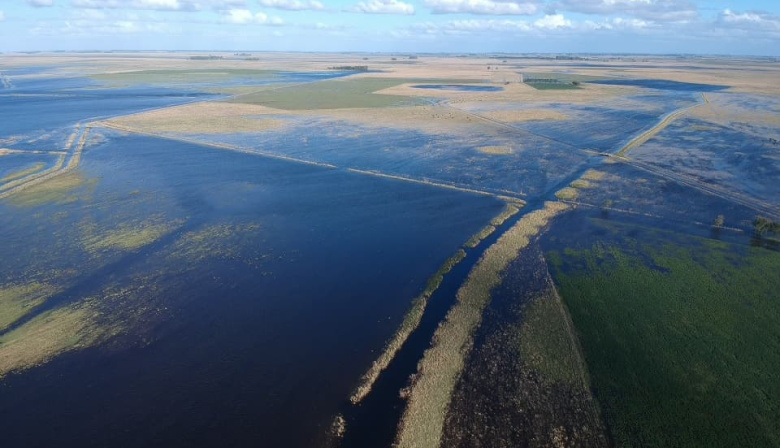 Nación prorrogó la emergencia agropecuaria en 9 municipios bonaerenses