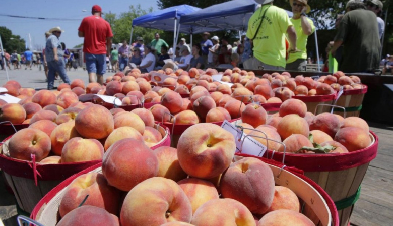Mercedes celebra la Fiesta Nacional del Durazno: cuándo es y qué propuestas ofrece