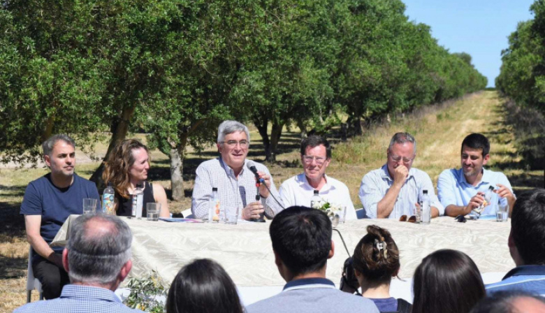 La Provincia lanzó la Ruta del Olivo en el sudoeste bonaerense