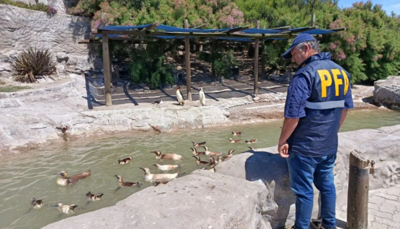 Allanaron el Aquarium de Mar del Plata por presunta contaminación