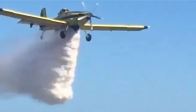 Villa Gesell: un incendio forestal en Mar Azul movilizó bomberos y un avión hidrante