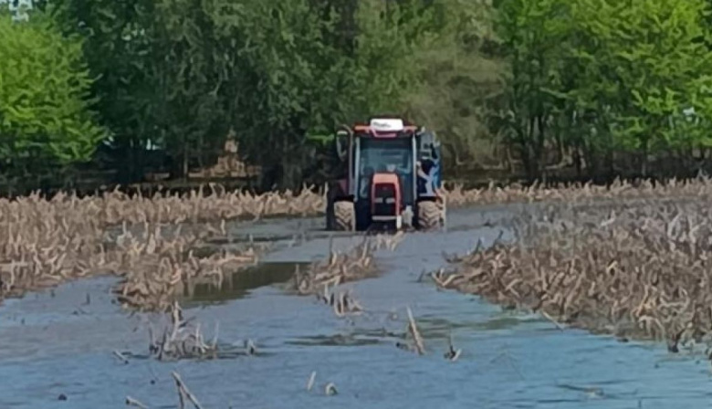 Inundaciones: prorrogan la emergencia agropecuaria a varios distritos bonaerenses