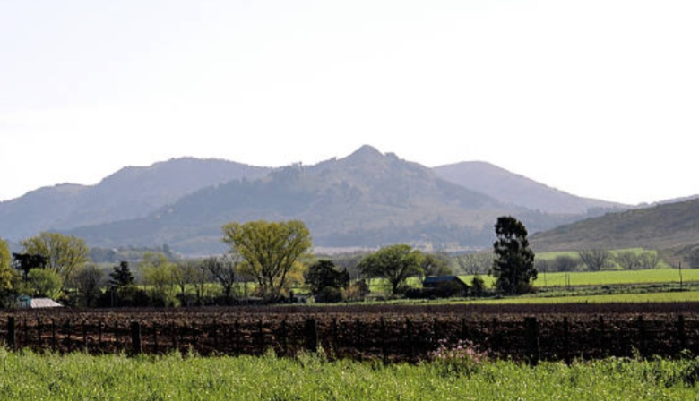 Un 5 % de la tierra rural de Tandil está en manos de extranjeros