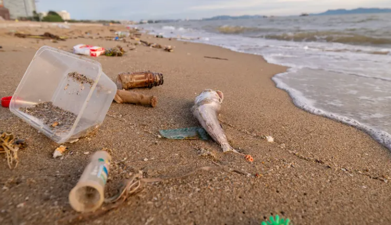 Alarma ambiental en la costa bonaerense: casi el 80% de los residuos encontrados son plásticos