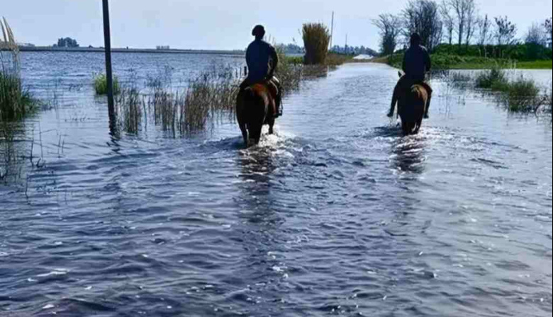 La Provincia extendió la emergencia agropecuaria en Guaminí y Coronel Suárez