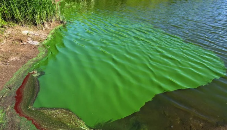 De verde intenso a bandera roja: la laguna que preocupa a toda la provincia
