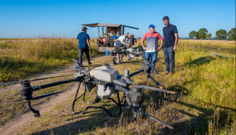 Municipio del interior combate el avance del barigüí con drones: calificaron la situación como “crítica”