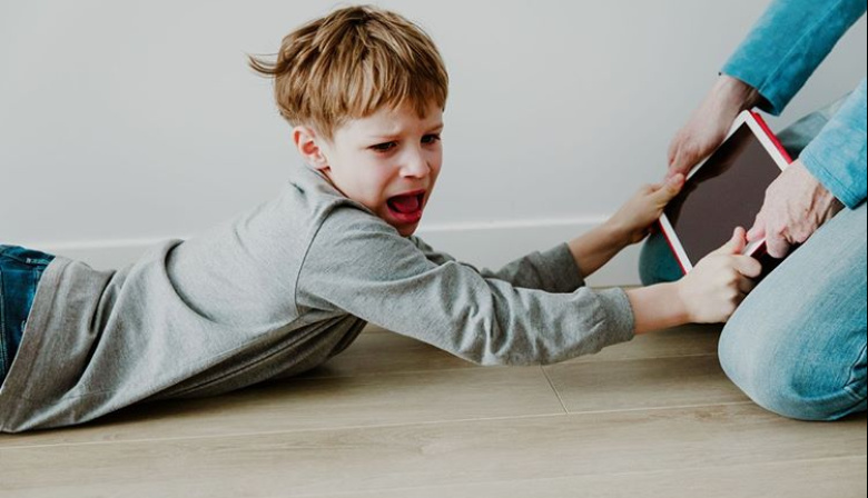 Avanza en la provincia un proyecto para prohibir redes sociales a menores de 13 años