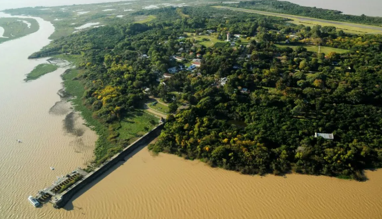 Emergencia fitosanitaria en la isla Martín García por la detección de una peligrosa plaga