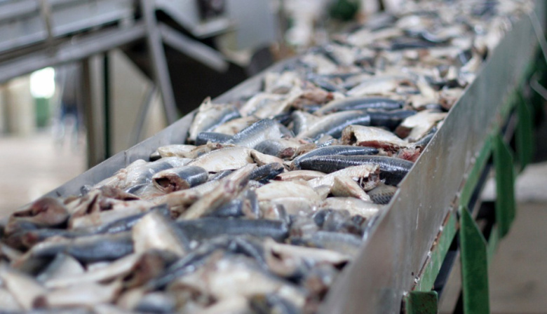 La Costa refuerza la pesca artesanal con nuevos puntos de venta