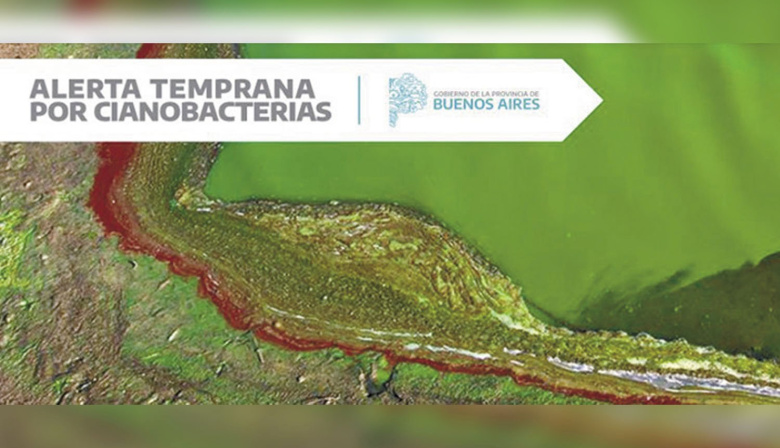 Doce lagunas bonaerenses en alerta naranja por cianobacterias y Pehuajó en rojo