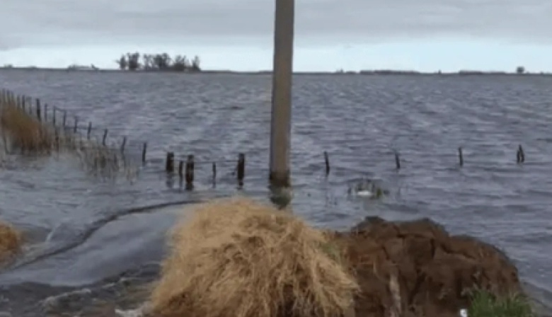 El Gobierno nacional extiende la emergencia agropecuaria en 18 distritos bonaerenses
