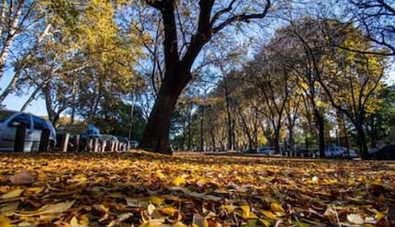 Pronostican un otoño caluroso y con lluvias normales en distritos bonaerenses
