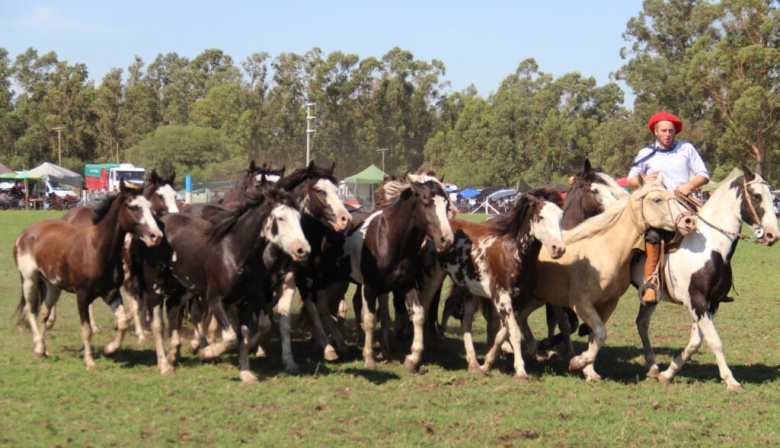 La provincia se llena de carnavales y fiestas este fin de semana