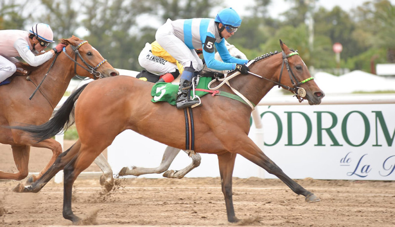 Chau cash: la Provincia obliga a usar QR en agencias, hipódromos y casinos