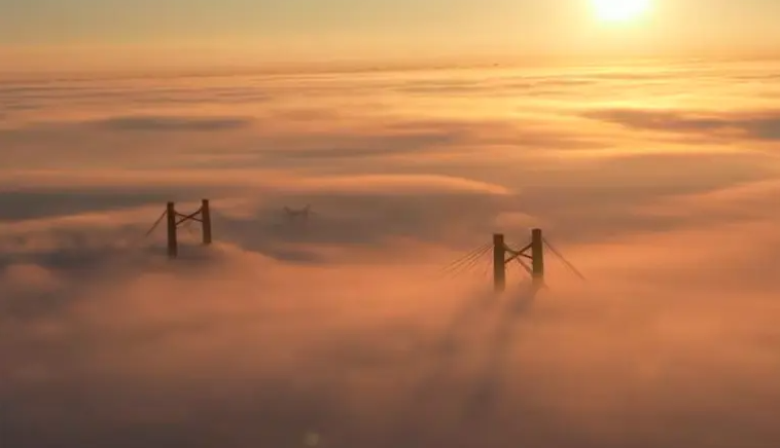 La niebla afecta a gran parte de Buenos Aires: cortaron Zárate-Brazo Largo y hay vuelos demorados