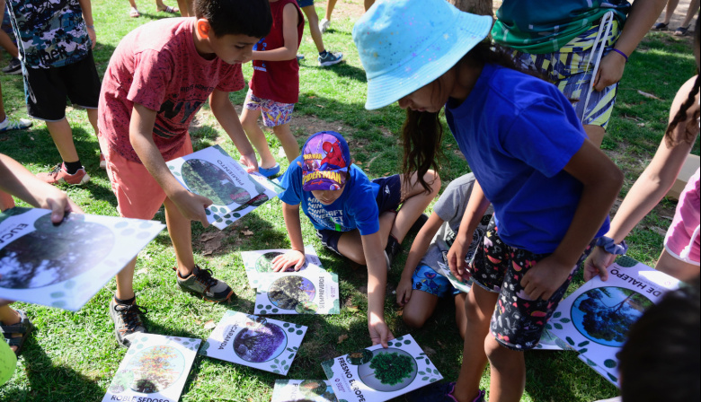 Avanza en el Senado bonaerense un proyecto para llevar educación ambiental a las escuelas