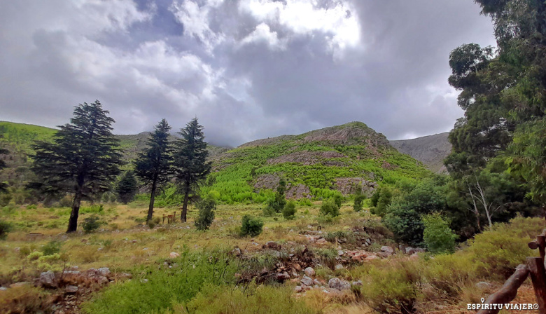 Tandil, Villa Ventana y Azul: destinos ideales para disfrutar las vacaciones de invierno