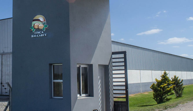 Balcarce: cerró una fábrica de papas congeladas y hay 50 trabajadores despedidos