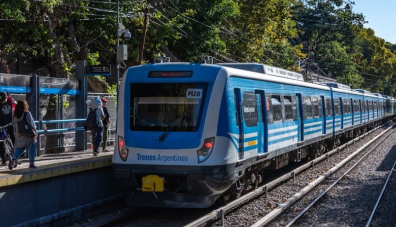El Gobierno canceló obras clave para la modernización del Tren Mitre