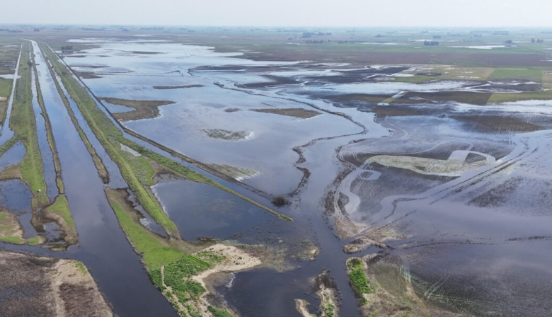 Advierten por una posible crecida histórica del río Paraná en el norte bonaerense