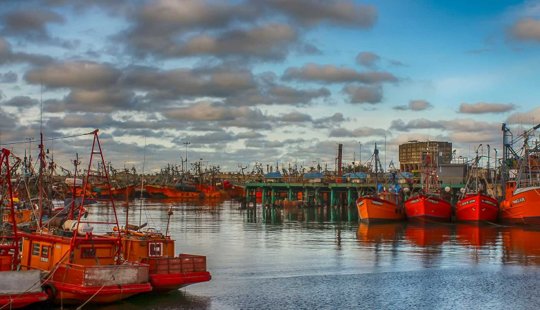 Puertos, sindicatos y cámaras: quiénes integran el nuevo Consejo Portuario bonaerense