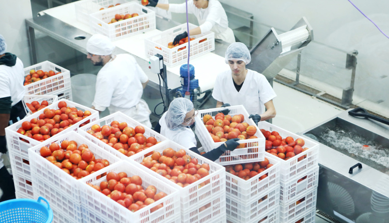 La UNLP y la Provincia avanzan con un acuerdo para producir alimentos sociales