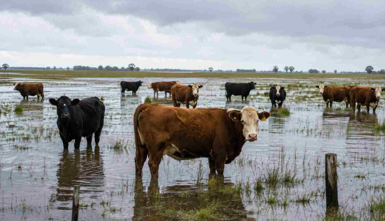 El mapa del agua bonaerense: diez partidos con más del 50% de exceso hídrico