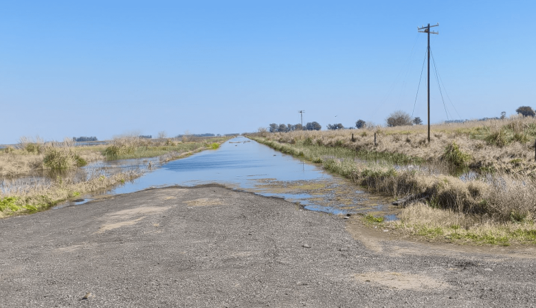 Declararon la emergencia agropecuaria por inundaciones en 9 de Julio y Necochea
