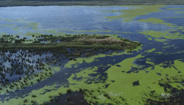 La Provincia creó un registro para ordenar el uso de las tierras en las islas