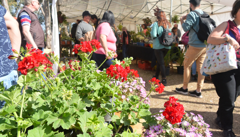 Cazón, el pueblo de los viveros, abre su Expo en el fin de semana largo