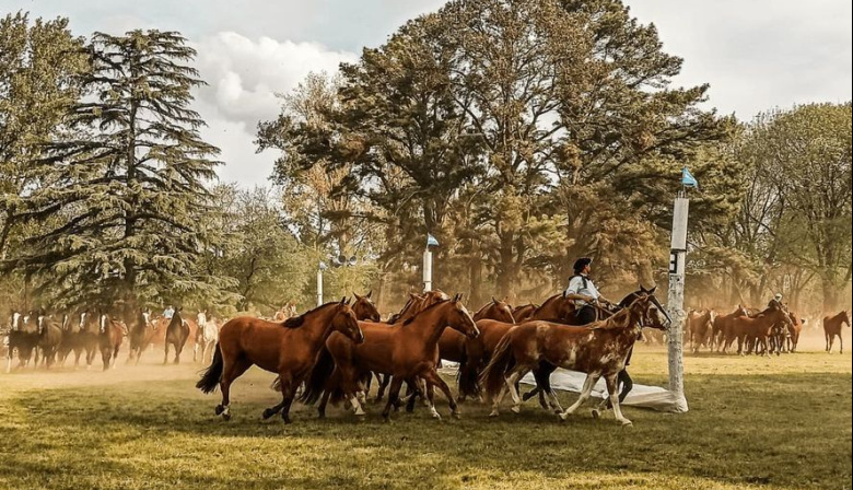 Del 7 al 11 de octubre, Bragado vive la Fiesta Nacional del Caballo con muestras y shows