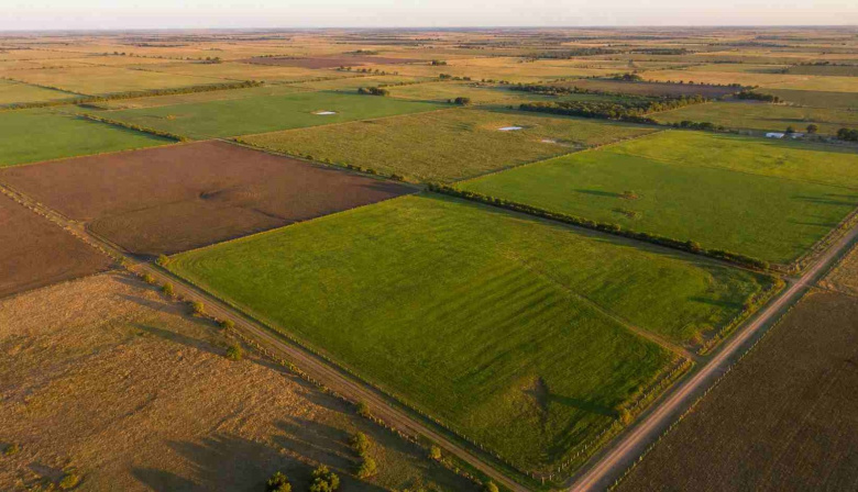 Después del fallo de la Corte, el oficialismo bonaerense busca su propia ley de tierras