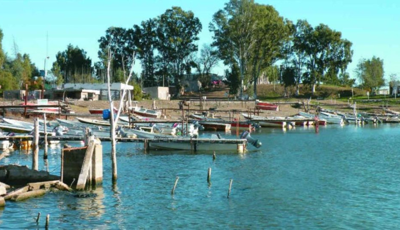 Villarino sembrará otros 100 mil alevinos de pejerrey para recuperar la laguna Chasicó
