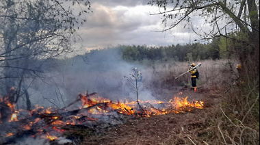 Incendios en el Delta del Paraná: continúan activos focos en territorio bonaerense