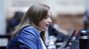 Cecilia Moreau: “Es llamativo que la oposición no quiera debatir temas urgentes como moratoria previsional, monotech y Universidades”