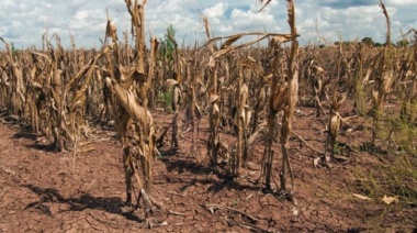 Nación declara la emergencia por sequía en más de 60 distritos