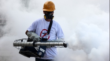Advierten que se atraviesa el pico máximo de dengue y chikungunya