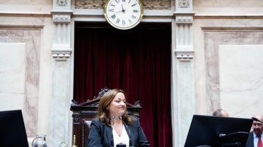 Cecilia Moreau celebró la media sanción al proyecto que fortalece la Justicia de Santa Fe contra el narcotráfico