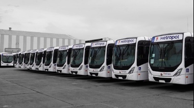 Son cinco las líneas afectadas por el paro de colectivos