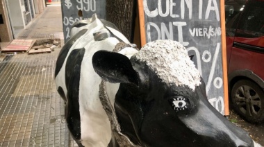 Cuenta DNI: hubo 836 mil compras en carnicerías en marzo