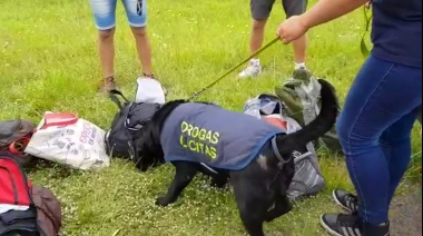 Subieron los delitos sexuales, las causas por drogas y el hurto de autos 