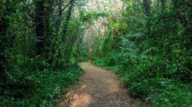 La Provincia suma más de 15 mil hectáreas de bosques nativos para su protección