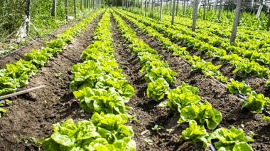 Provincia financiará proyectos para impulsar el arraigo rural de jóvenes de 18 a 24 años