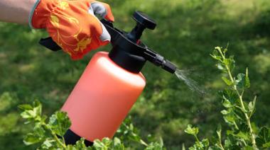 Sustitutos de agroquímicos: Provincia creó registro de elaboración y comercialización de biopreparados