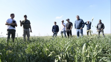 Chacras experimentales: aumentaron en más de un 20% en la gestión de Kicillof  