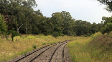 Avanza la expropiación de una reserva natural en la zona sur bonaerense